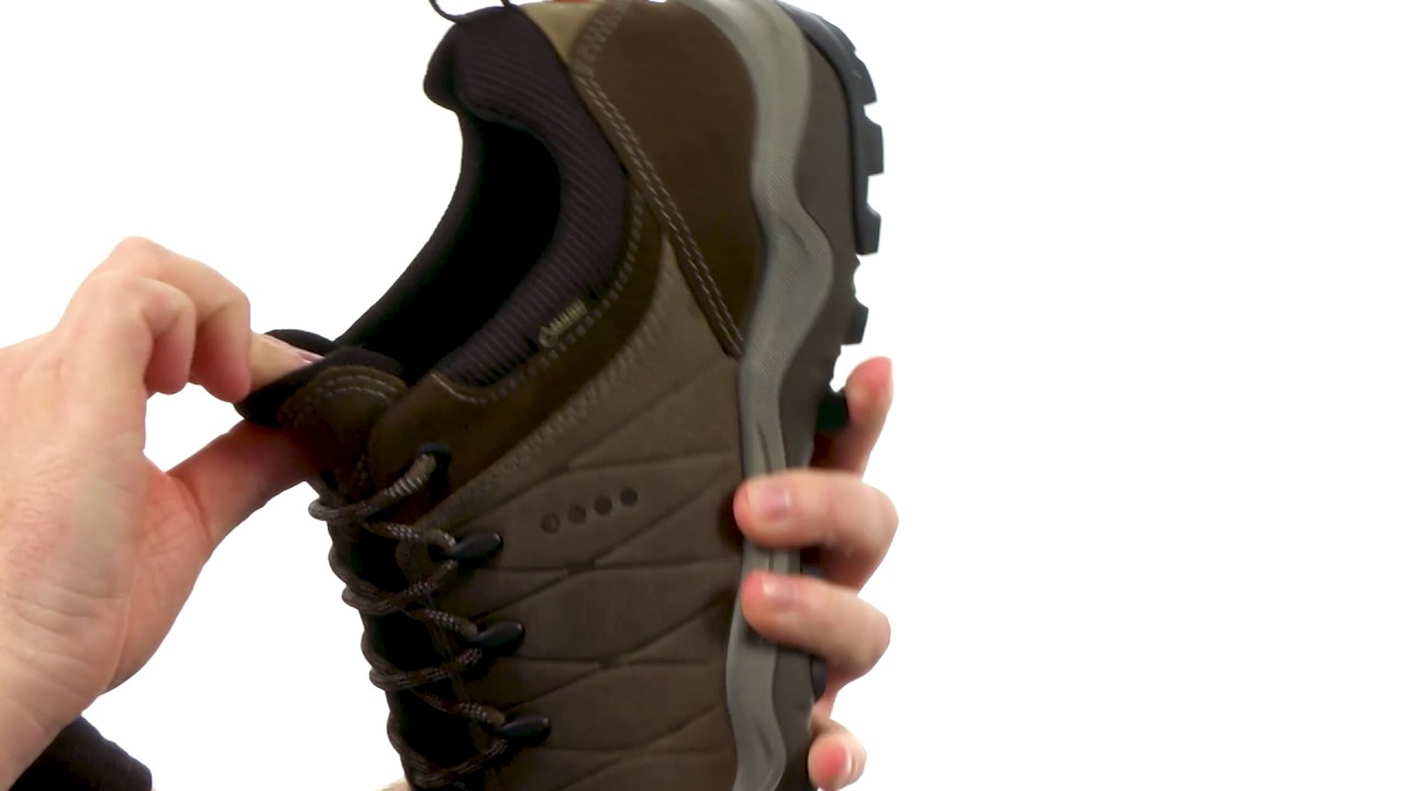 ecco sport ulterra gore-tex