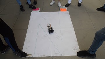 Etapa 3: Estructuras Básicas de Programación