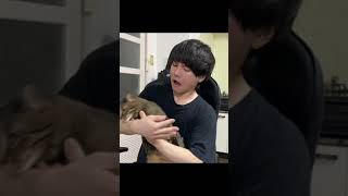 凶暴猫を抱っこしてキスをした結果...