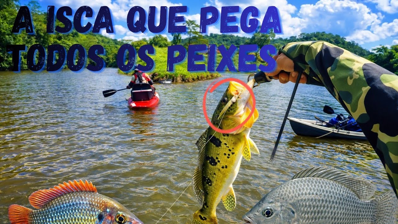 Teste da isca asinia meia água, cópia da (rozante) 5 gramas. 