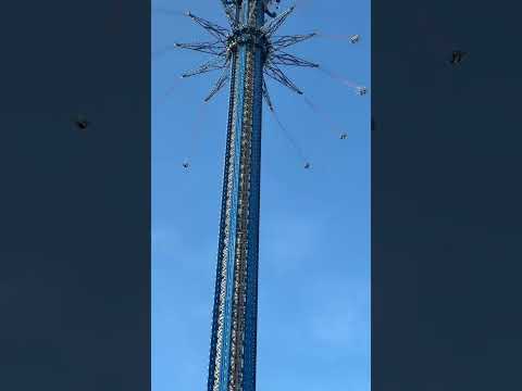 Absolute madness -
