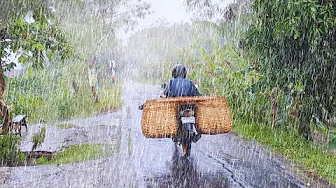 WALK IN THE HEAVY RAIN AND STRONG WINDS IN THE RURAL VILLAGE LIFE