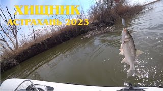 Рыбалка с убытками. Ловля хищника с лодки на Джиг в Астрахани 2023