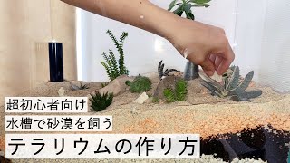 超初心者向け 水槽で砂漠を飼う テラリウムの作り方 多肉 塊根 サボテン Youtube