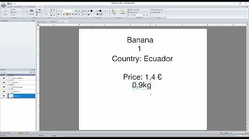 cablabel S3 tutorial: Insert an Excel file into the label