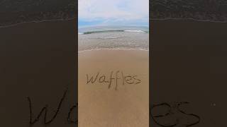 Send this to a WAFFLES addict 🇺🇸☝️