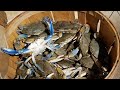 Crabbing. Is it worth it?