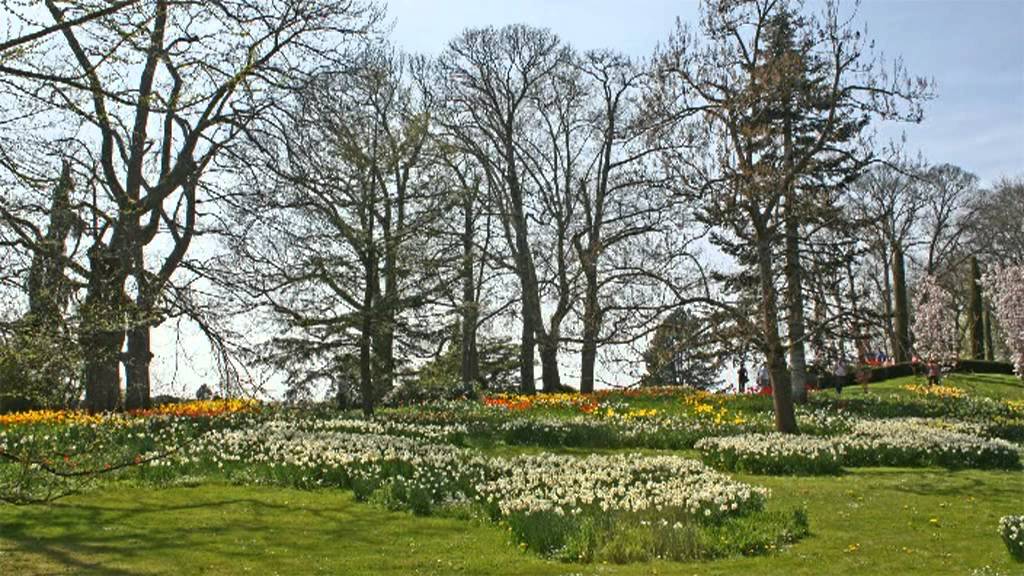 Blumeninsel Blumeninsel