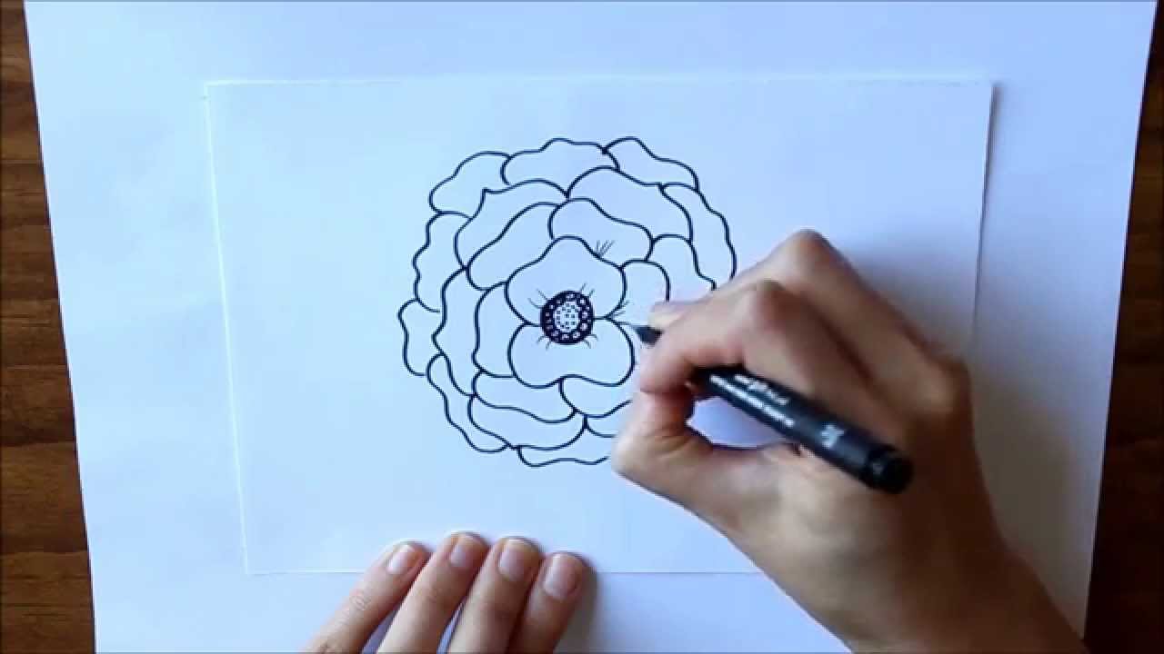 Cómo dibujar Una Flor con Muchos Pétalos Dibuja Conmigo Dibujos de Flores -  thptnganamst.edu.vn