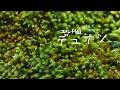 【コメント返し】デュナン