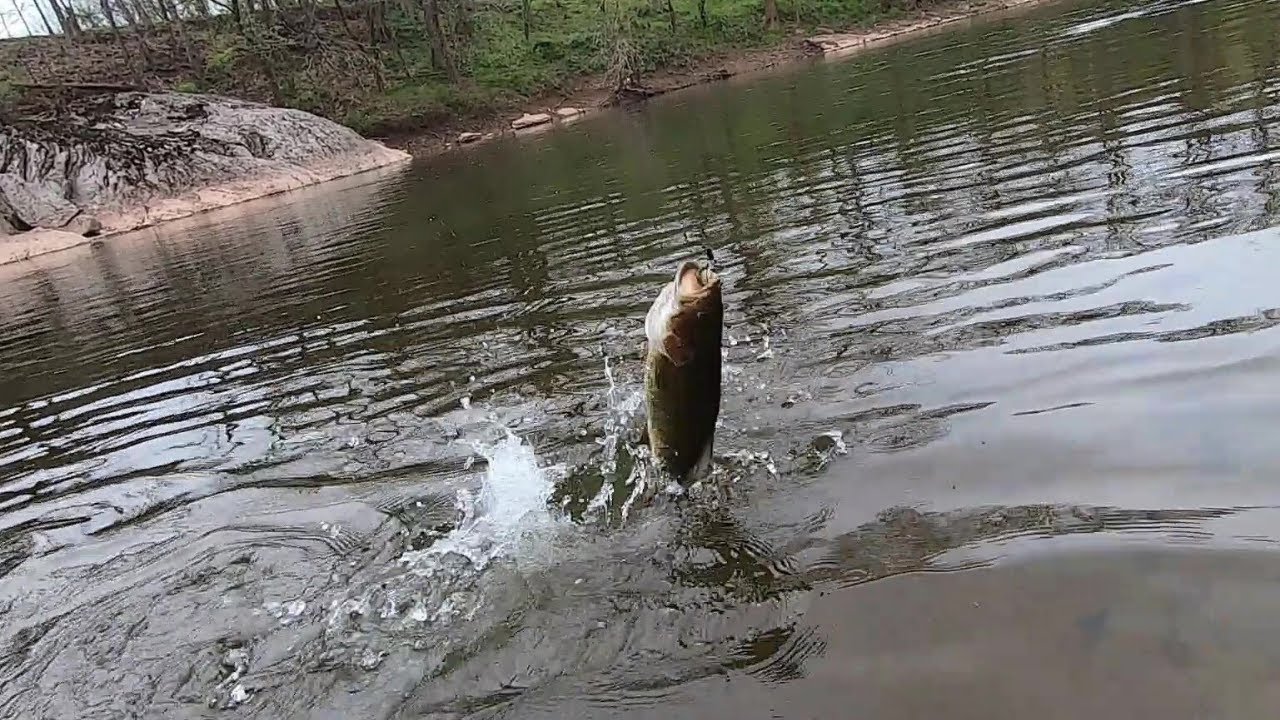 SMALLMOUTH BASS fishing late WINTER YouTube