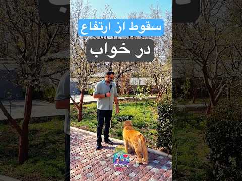 دلیل سقوط از ارتفاع در خواب چیه پاسخ کوتاه و علمی دلیل علمی تکان خوردن بدن در هنگام خواب چیست 