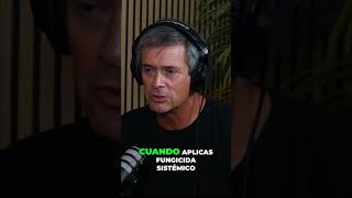 Planta de Tomate: Antiviral Natural Contra Virus Rugoso