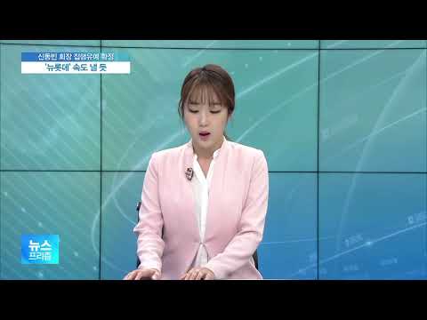 국정농단 &amp;#39;족쇄&amp;#39; 풀린 <strong>신동빈</strong> 회장…&amp;#39;뉴롯데&amp;#39;·지배구조 개편 속도 낼 듯