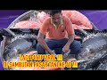 LAGI PUYU VIRAL DI SAMBUTAN PASAR TANI KE 40 / PASAR TANI TEPI SUNGAI SG PETANI, MSIA MORNING MARKET