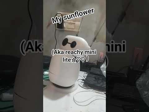 Reachy mini my personal Robot Ai assistant