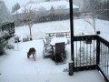 LOTS OF SNOW 