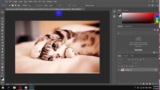 How To Enable & Disable Align UI To OS Settings in Photoshop screenshot 2