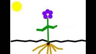 Blooming Bud Stykz Tutorial