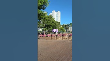 Thumbnail of 사내.  #나훈아