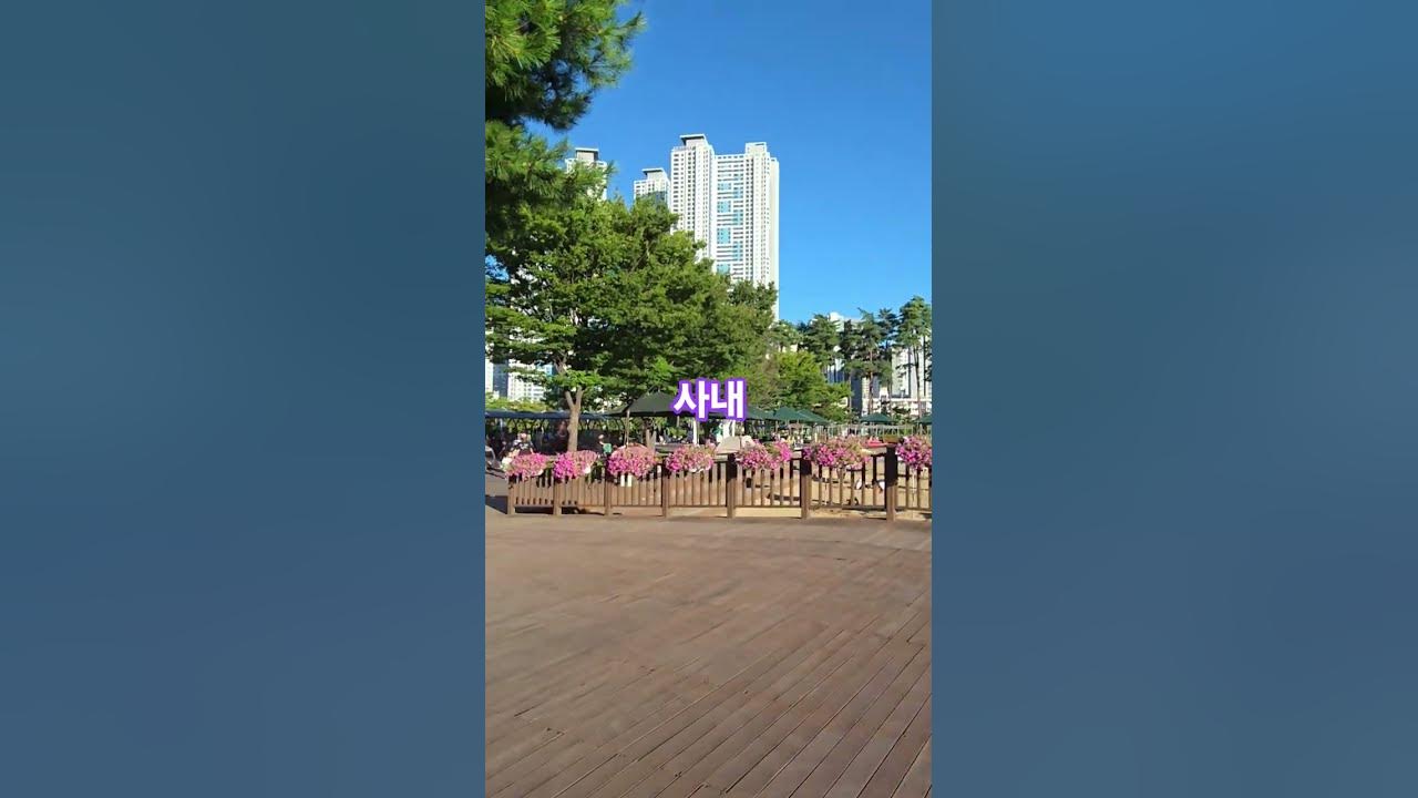 사내.  #나훈아