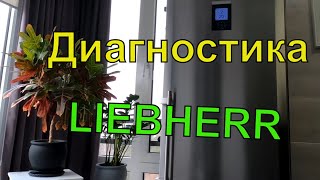 Как выбрать БУ Холодильник??? / Диагностика Холодильника Liebherr  на Выезде