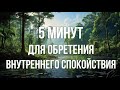 Аффирмации для обретения спокойствия! Отпустите стресс и тревоги.