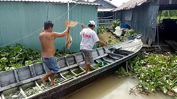 CÂU CÁ CÓC SÔNG HẬU