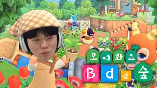 Agumon and Animal Crossing Friends | Bdd Streaming Highlights screenshot 5