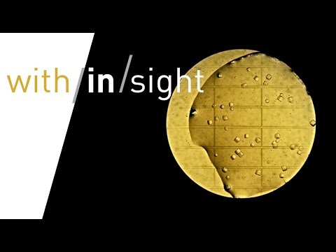 Koch Institute Image Awards Opening 2018