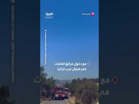 حرائق الغابات في شمال غرب تركيا: تدخل الطائرات والمروحيات لليوم الثاني