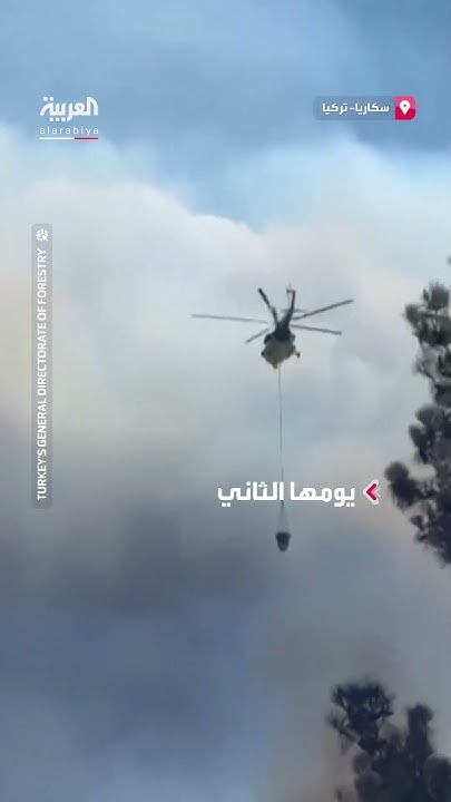             
 - نشر قبل 13 دقيقة