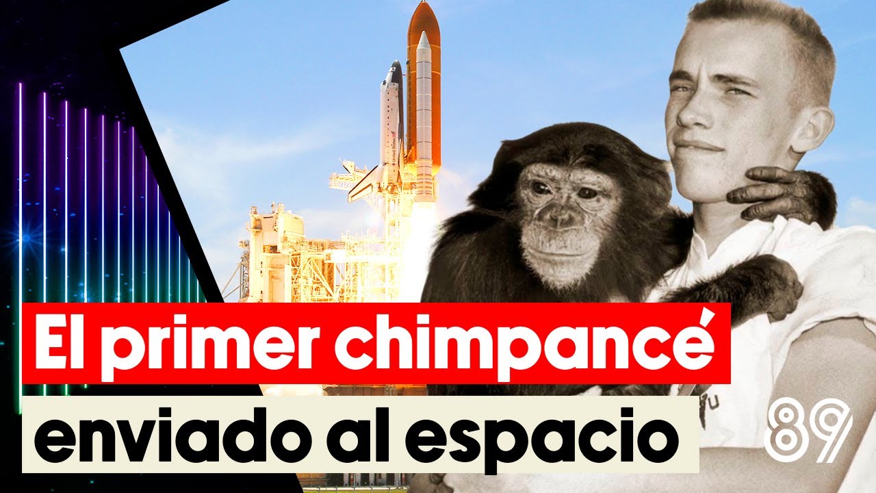 La historia de Ham, el primer chimpancé astronauta: el violento  entrenamiento al que lo sometió la NASA - Infobae