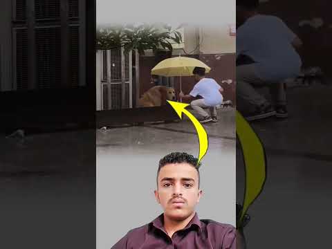 ازرعوا في قلوب ابنائكم الرحمه في مخلوقات الله    سعادة مشاهير اكسبلور