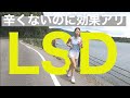 【LSD練習】長く走れる身体作り！ホカクリフトンエッジで走る！