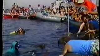 1988 ENZO MAIORCA APNEA ASSETTO VARIABILE m 101