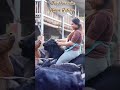 Goat Riding Viralvideo Womenempowerment Shortsvideo Goat Shorts 