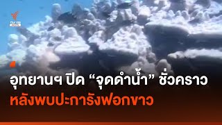 อุทยานฯ ปิดจุดดำน้ำชั่วคราว หลังพบปะการังฟอกขาว I Thai PBS news