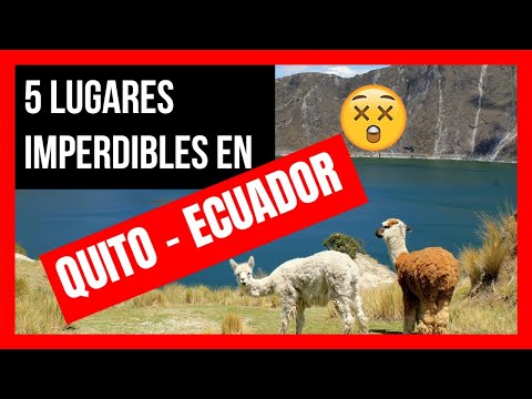 Video: 15 mejores cosas para hacer en Quito, Ecuador