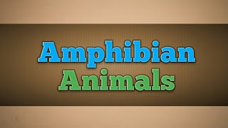 Amphibian Animals | Meaning | with examples
