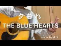 夕暮れ THE BLUE HEARTS 弾き語りcover 【コード付き】