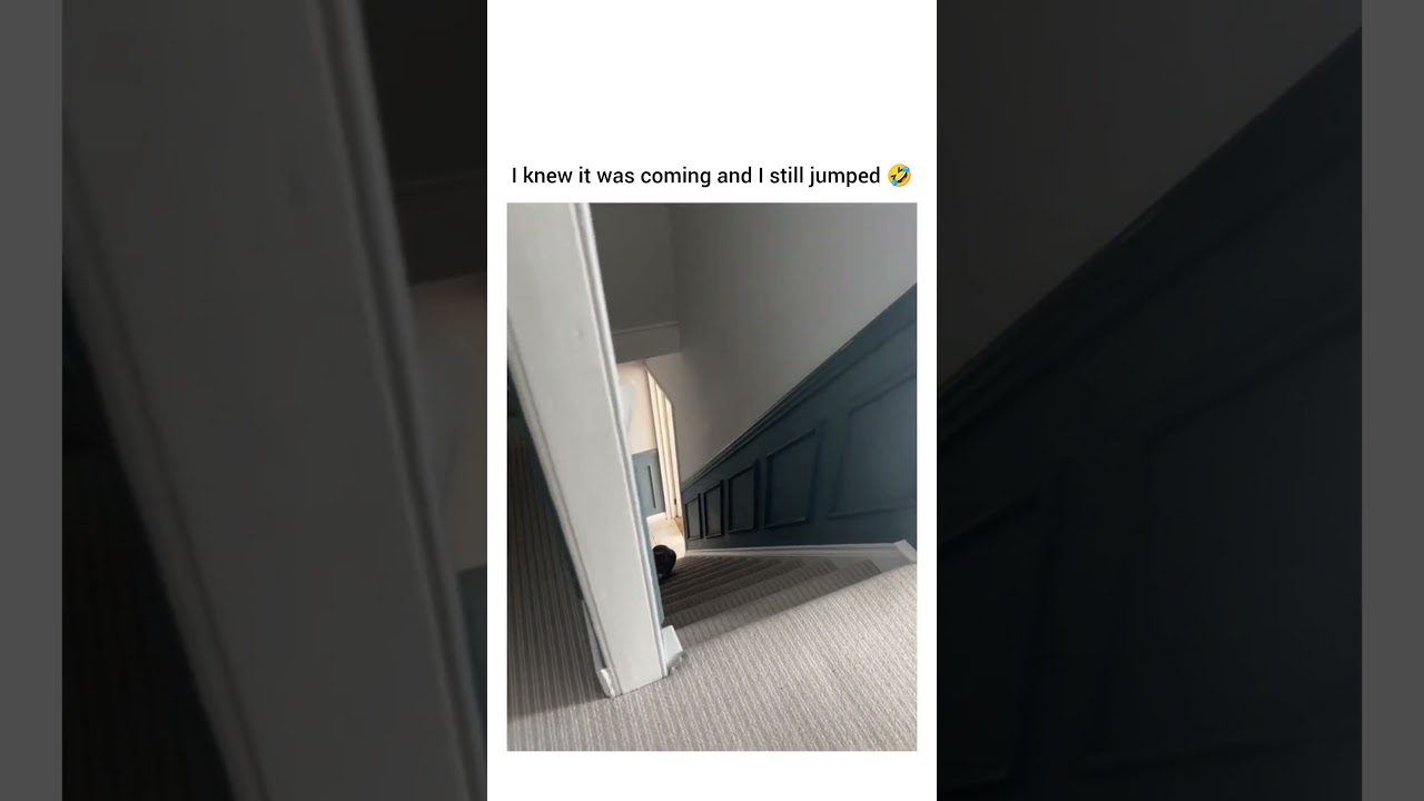 Me hiding in the comments