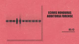 Prevención es la Clave: Auditoría Forense para Blindar tu Empresa