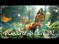 Insect world in 4k  soothing piano  birdsong  calm your mind with nature relaxation film   57