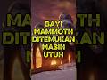 Bayi Mammoth Ini Membeku Selama Puluhan Ribu Tahun #shorts #edukasi #hewan #wildlife