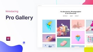 Elementor Pro Gallery Widget: The Best Image Gallery Solution for WordPress screenshot 2