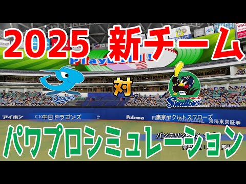 2025年5月14日　中日ドラゴンズvsヤクルトスワローズ　試合球 2025年キャンプ練習試合】東京ヤクルトスワローズ vs 中日
