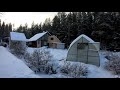 Winter in a Russian Village | Russian Countryside |  Зима в российской деревне | GoPro 7 POV Walking