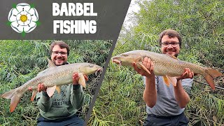 BARBEL FISHING| The most barbel I've EVER CAUGHT!
