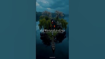 تلاوة جميلة يخشع لها القلب 🤎. #quran #قران_كريم #محمد_اللحيدان #تلاوة_خاشعة